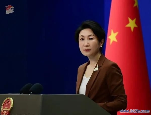 毛宁 贵寓图 图源：酬酢部网站