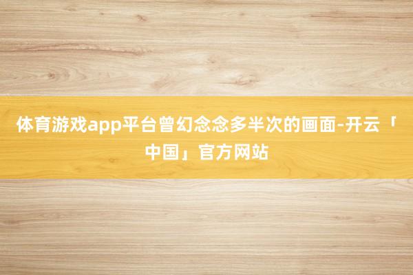 体育游戏app平台曾幻念念多半次的画面-开云「中国」官方网站