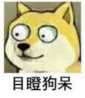 image1.png