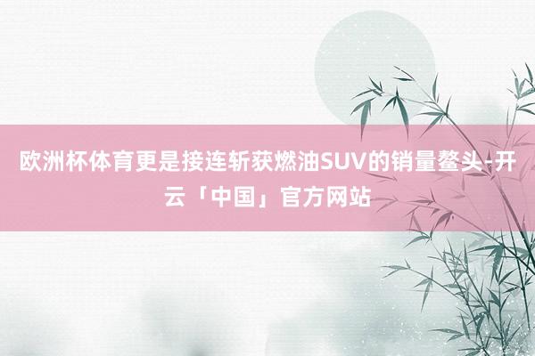 欧洲杯体育更是接连斩获燃油SUV的销量鳌头-开云「中国」官方网站