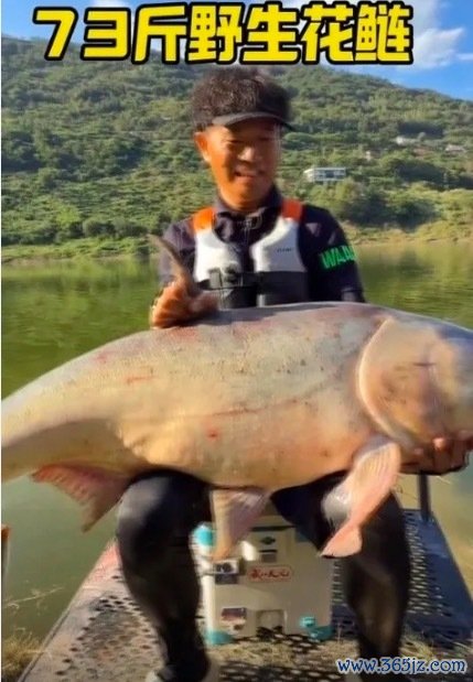 “中国钓王”钓获73斤野生花鲢 网友质疑称邓刚 “挂鱼”