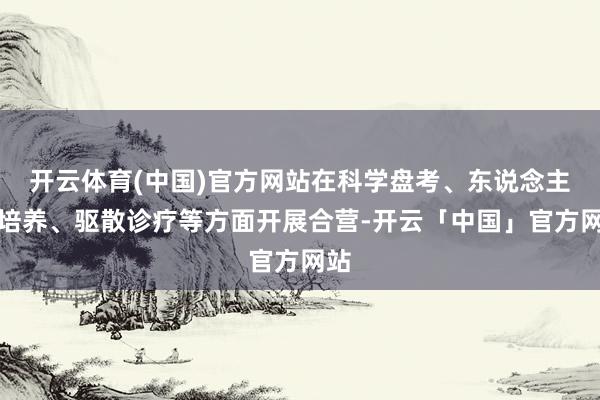 开云体育(中国)官方网站在科学盘考、东说念主才培养、驱散诊疗等方面开展合营-开云「中国」官方网站