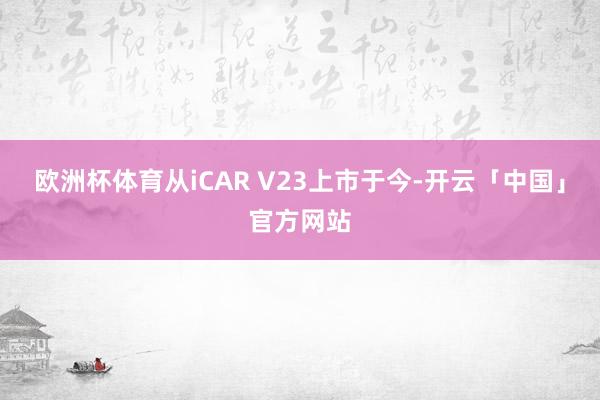 欧洲杯体育从iCAR V23上市于今-开云「中国」官方网站