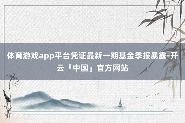 体育游戏app平台凭证最新一期基金季报暴露-开云「中国」官方网站