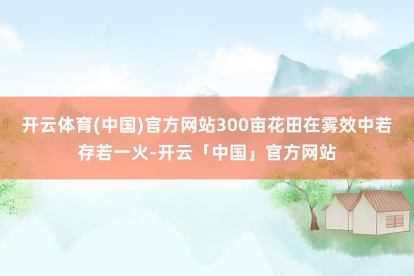 开云体育(中国)官方网站300亩花田在雾效中若存若一火-开云「中国」官方网站