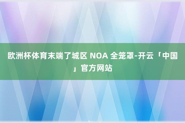 欧洲杯体育末端了城区 NOA 全笼罩-开云「中国」官方网站