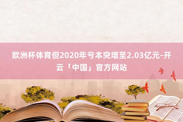 欧洲杯体育但2020年亏本突增至2.03亿元-开云「中国」官方网站