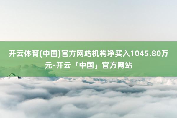 开云体育(中国)官方网站机构净买入1045.80万元-开云「中国」官方网站