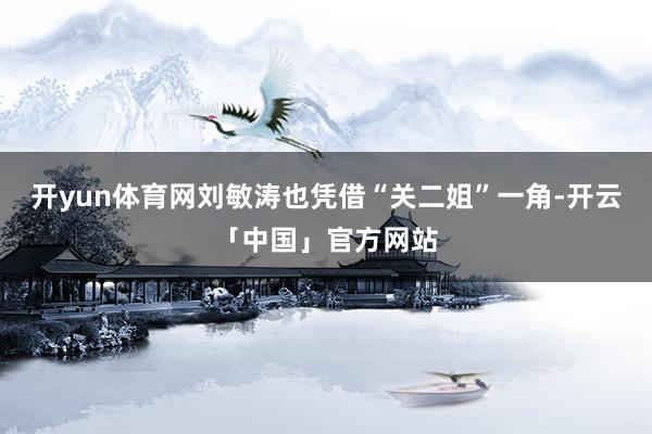 开yun体育网刘敏涛也凭借“关二姐”一角-开云「中国」官方网站