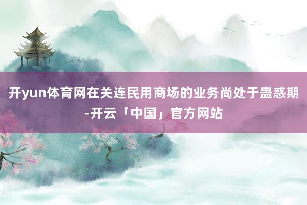 开yun体育网在关连民用商场的业务尚处于蛊惑期-开云「中国」官方网站