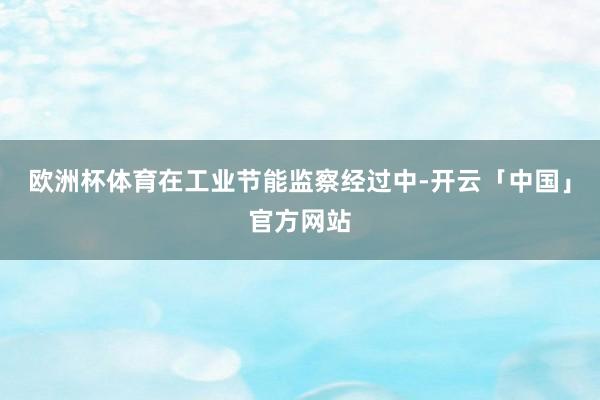 欧洲杯体育在工业节能监察经过中-开云「中国」官方网站