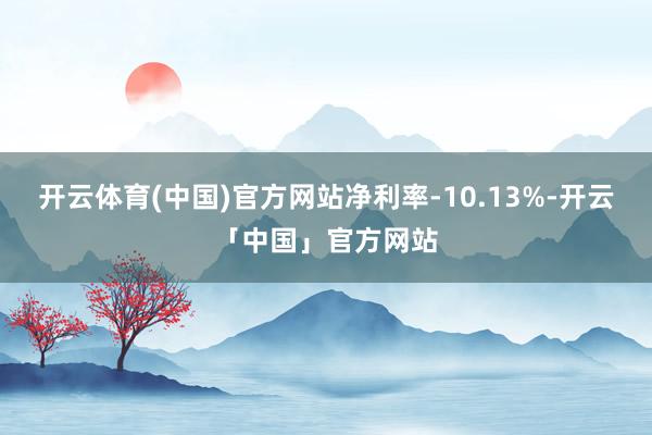 开云体育(中国)官方网站净利率-10.13%-开云「中国」官方网站
