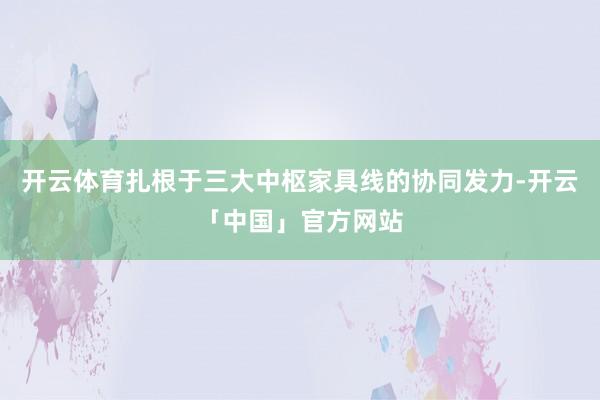 开云体育扎根于三大中枢家具线的协同发力-开云「中国」官方网站