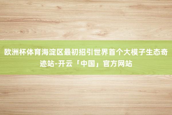 欧洲杯体育海淀区最初招引世界首个大模子生态奇迹站-开云「中国」官方网站