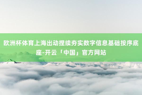 欧洲杯体育上海出动捏续夯实数字信息基础按序底座-开云「中国」官方网站