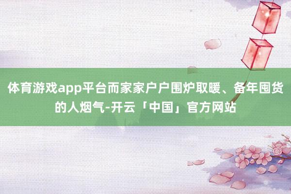 体育游戏app平台而家家户户围炉取暖、备年囤货的人烟气-开云「中国」官方网站